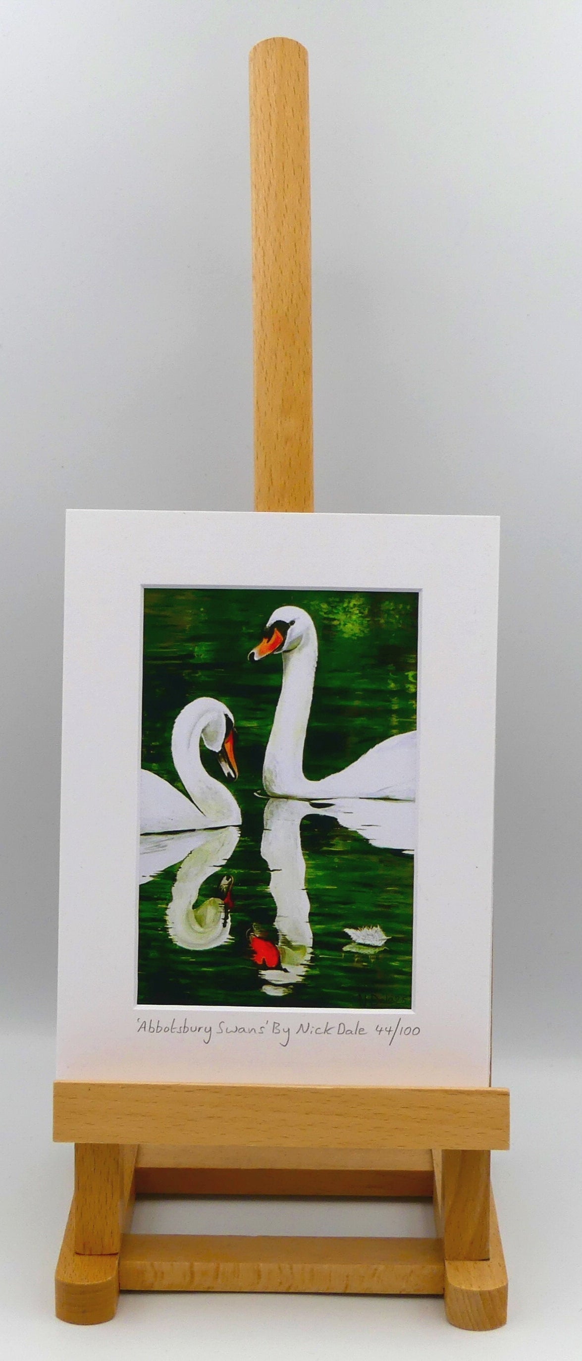 Image of a Small Art Print featuring a copy of the painting 'Abbotsbury Swans' by Nick Dale. The print depicts two swans doing the head bobbing stage of a courtship dance at Abbotsbury Swannery in Dorset. The print is situated on a small easel.