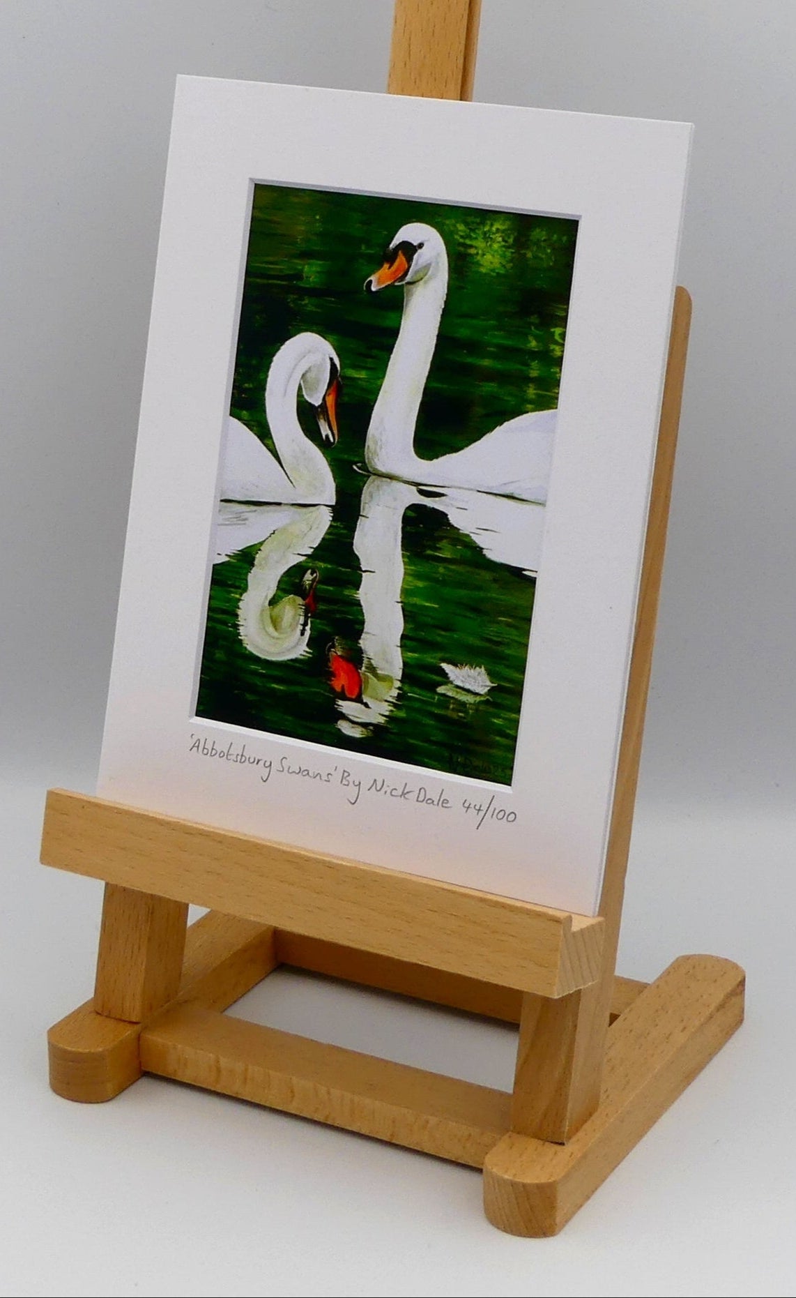 Image of a Small Art Print featuring a copy of the painting 'Abbotsbury Swans' by Nick Dale. The print depicts two swans doing the head bobbing stage of a courtship dance at Abbotsbury Swannery in Dorset. The print is situated on a small easel.