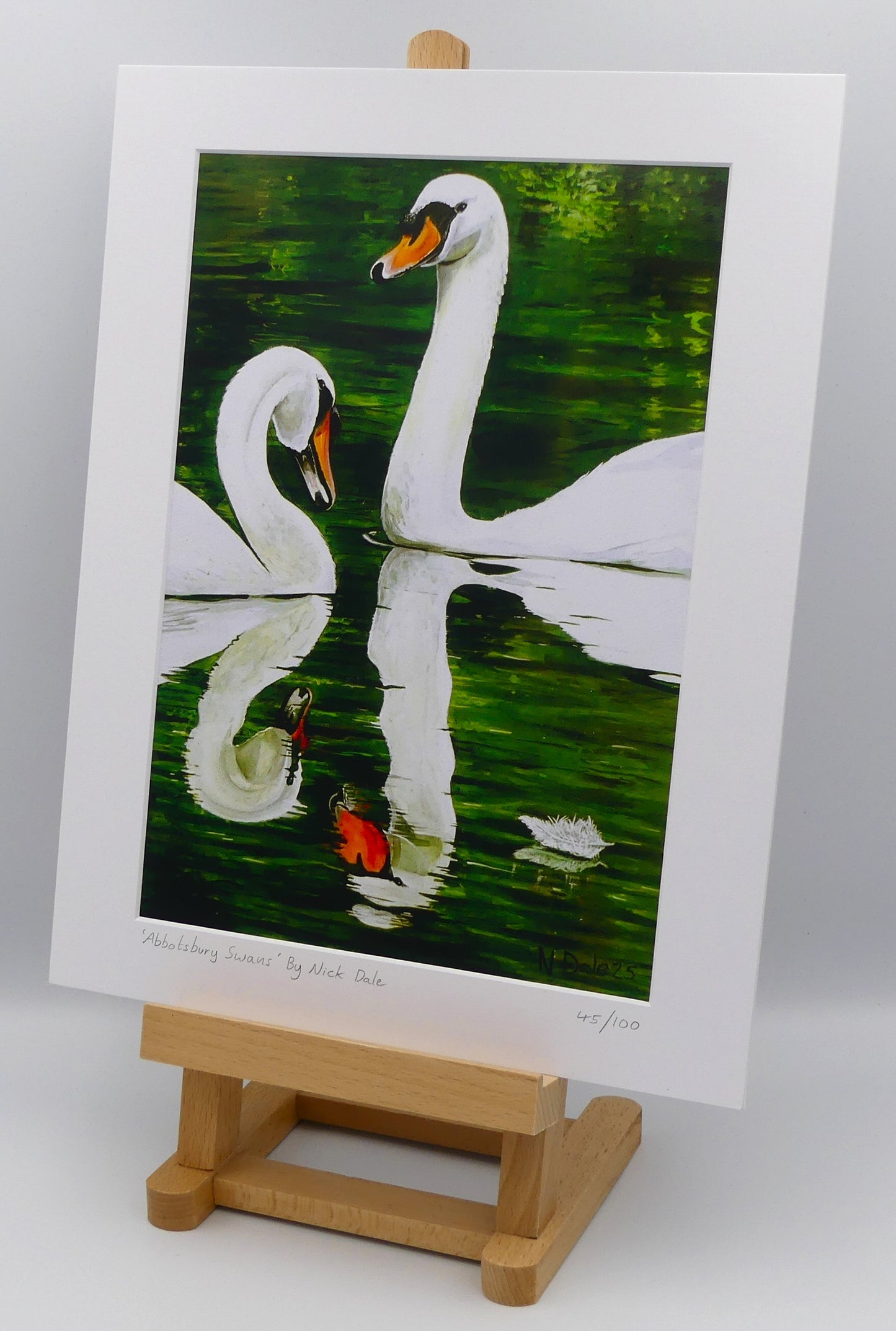 Image of a Medium Art Print featuring a copy of the painting 'Abbotsbury Swans' by Nick Dale. The print depicts two swans doing the head bobbing stage of a courtship dance at Abbotsbury Swannery in Dorset. The print is situated on a small easel.