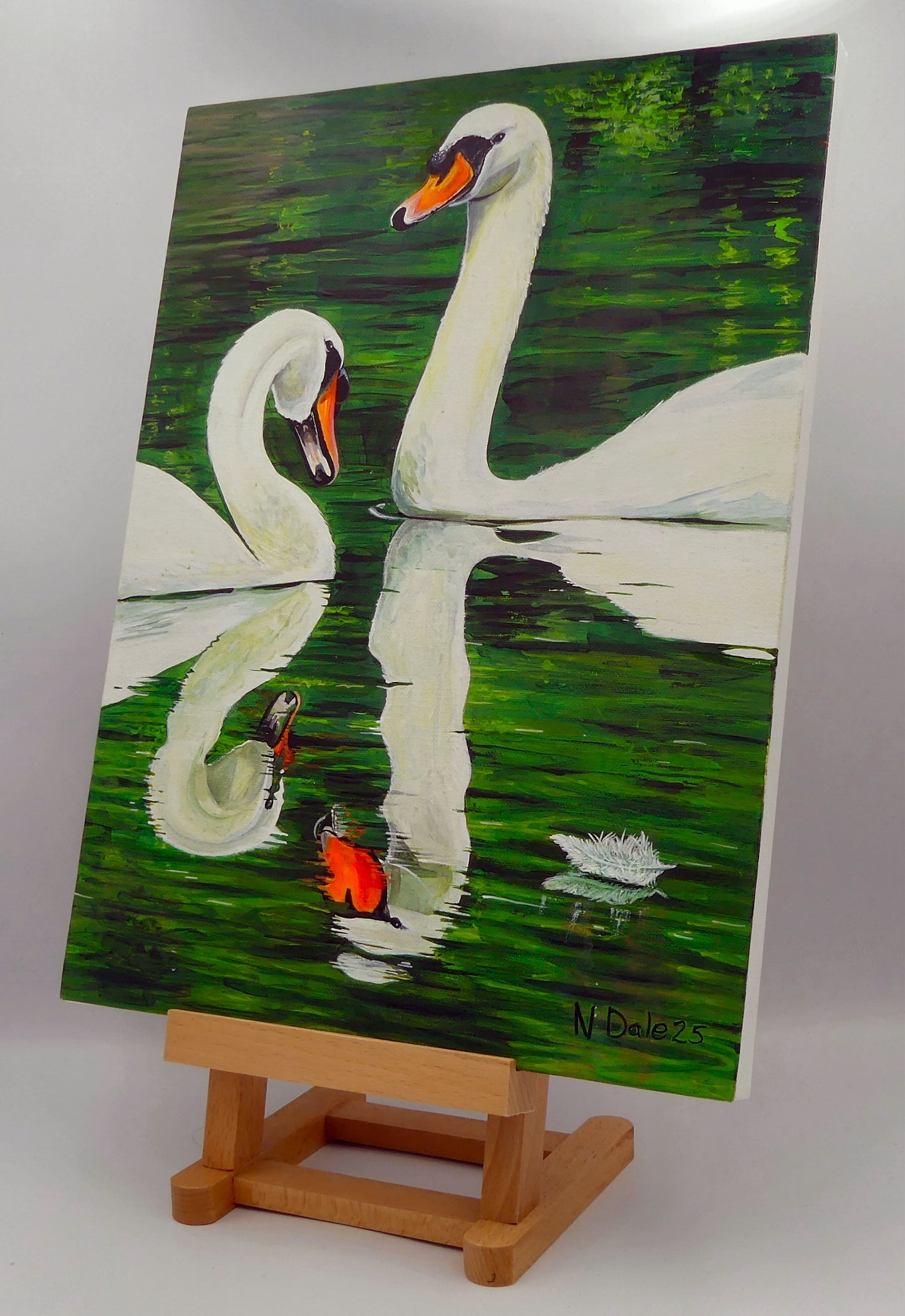 Image of the original painting 'Abbotsbury Swans' by Nick Dale on an easel. The scene depicts two swans doing the head bobbing stage of a courtship dance at Abbotsbury Swannery in Dorset.