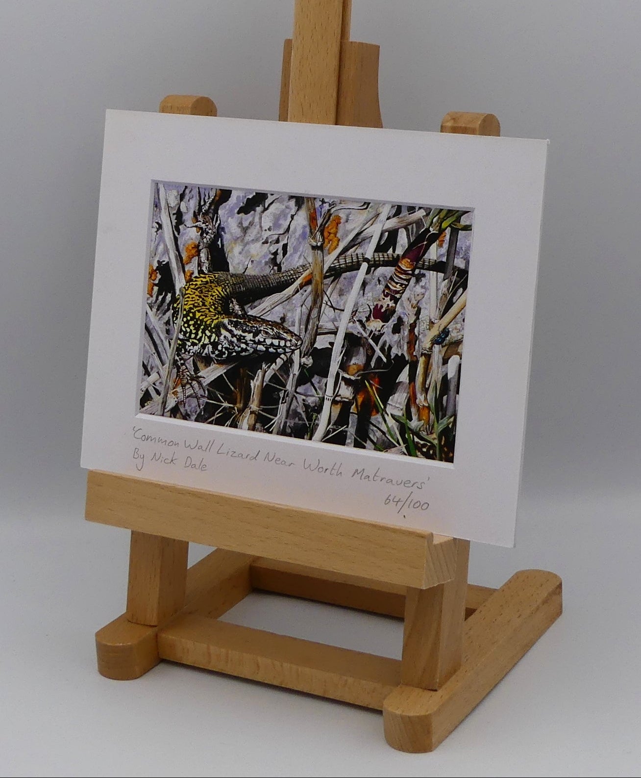 Image of a Small Art Print featuring a copy of the painting 'Common Wall Lizard Near Worth Matravers' by Nick Dale. The print depicts a close up view of a common wall lizard in the clifftop Hedbury Quarry, south of Worth Matravers. Has the lizard clocked the nearby beetle? The print is situated on a small easel.