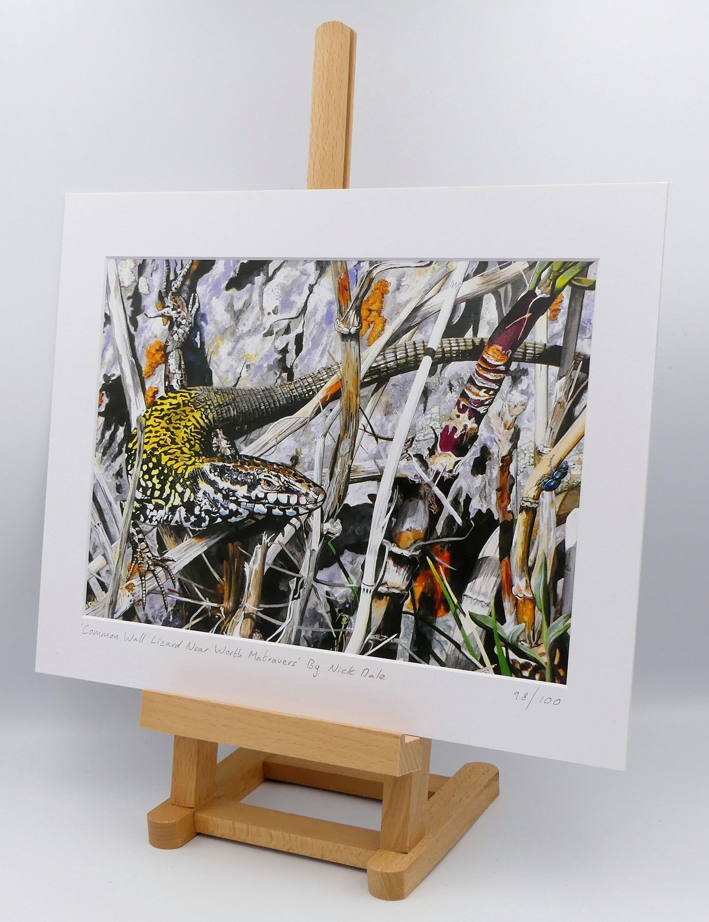 Image of a Medium Art Print featuring a copy of the painting 'Common Wall Lizard Near Worth Matravers' by Nick Dale. The print depicts a close up view of a common wall lizard in the clifftop Hedbury Quarry, south of Worth Matravers. Has the lizard clocked the nearby beetle? The print is situated on a small easel.