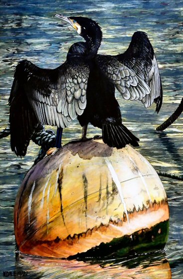 Image of Small Art Print featuring a copy of the painting 'Cormorant At West Bay' by Nick Dale. The print depicts a close-up of a cormorant sunbathing on a Mooring Buoy in West Bay's harbour in Dorset.