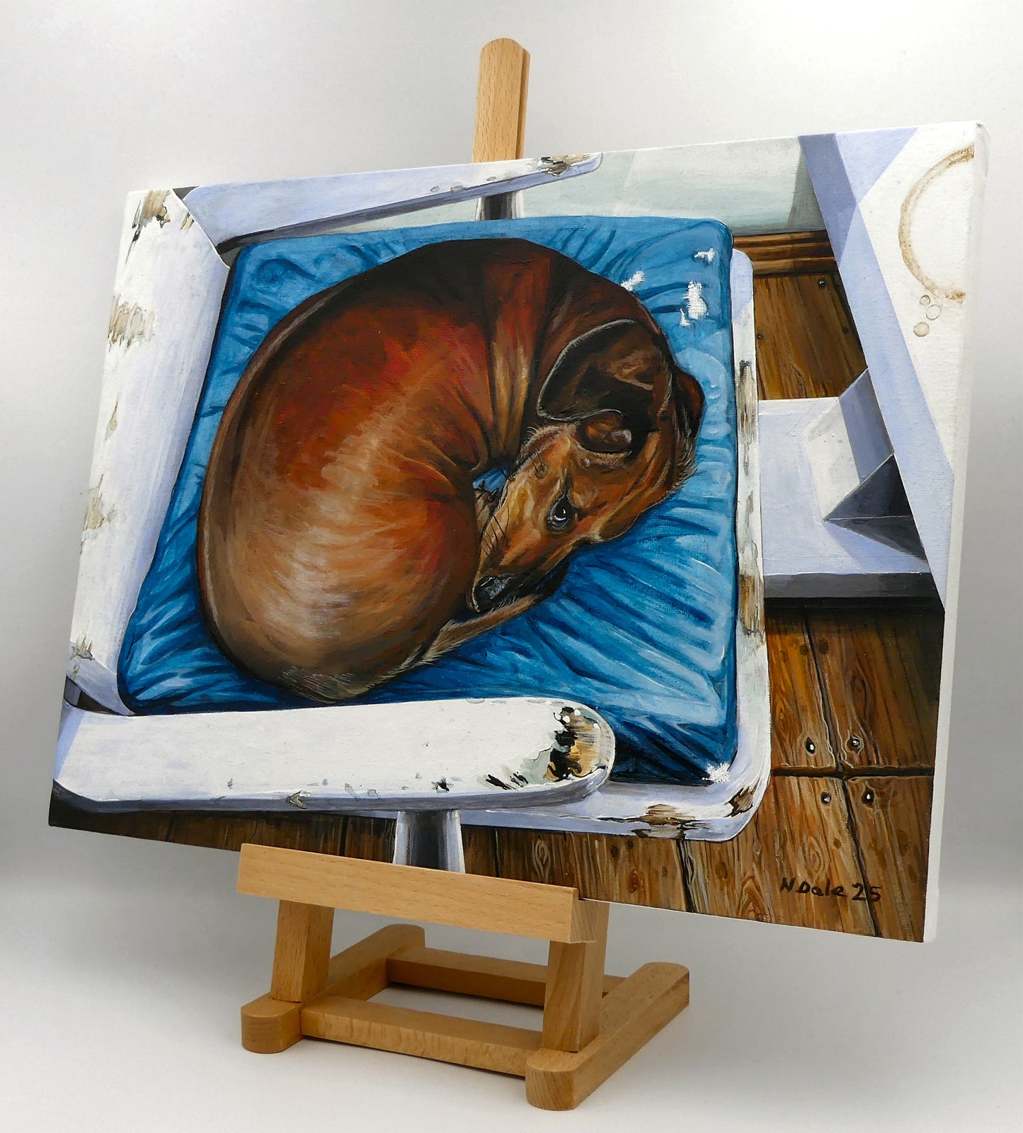 Image of the original painting 'Do Not Disturb' by Nick Dale on an easel. The scene depicts a miniature dachshund dog curled up on a favourite seat. Its gaze clearly indicates that it is not keen on being evicted from its current location and slumbering state.