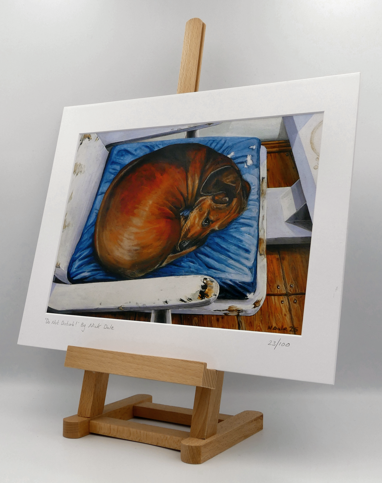 Image of a Medium Art Print featuring a copy of the painting 'Do Not Disturb' by Nick Dale. depicts a miniature dachshund dog curled up on a favourite seat. Its gaze clearly indicates that it is not keen on being evicted from its current location and slumbering state. The print is situated on a small easel.