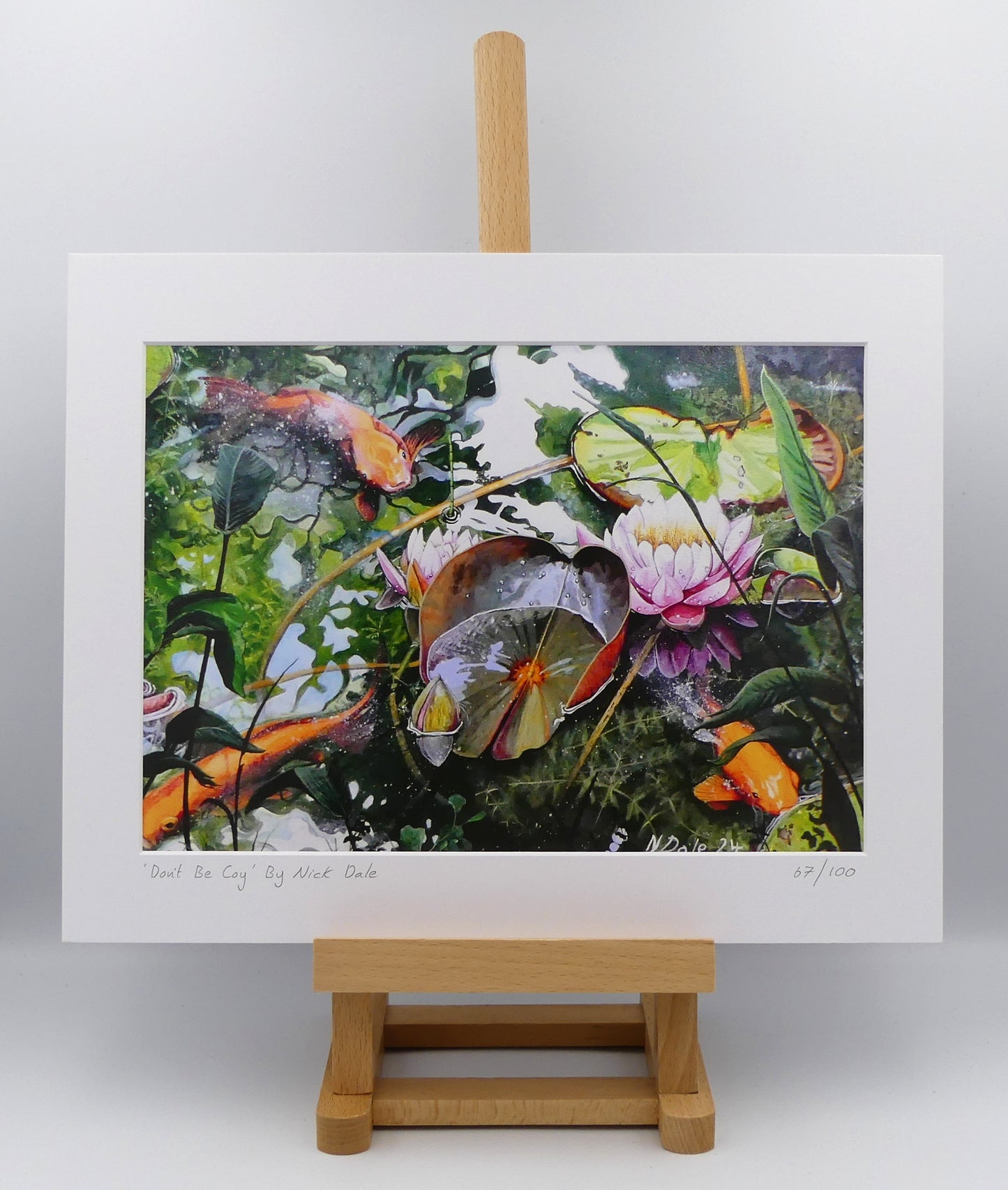 Image of a Medium Art Print featuring a copy of the painting 'Don't Be Coy' by Nick Dale. The print depicts 3 koi carp along with water lilies and their flowers. The painting is based on fish and lilies observed at Bennetts Water Gardens in Weymouth, Dorset. The title is a play on the homophones 'Coy' and 'Koi'. The print is situated on a small easel.