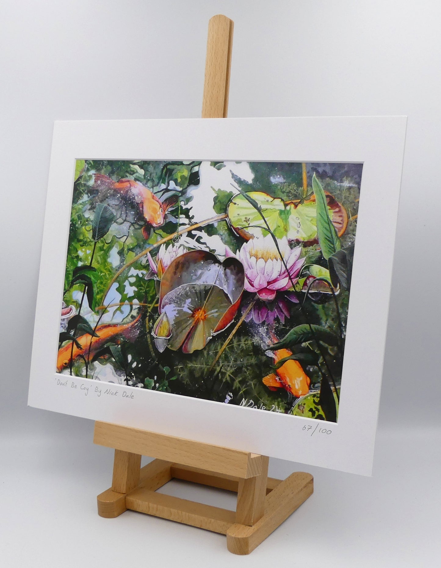 Image of a Medium Art Print featuring a copy of the painting 'Don't Be Coy' by Nick Dale. The print depicts 3 koi carp along with water lilies and their flowers. The painting is based on fish and lilies observed at Bennetts Water Gardens in Weymouth, Dorset. The title is a play on the homophones 'Coy' and 'Koi'. The print is situated on a small easel.