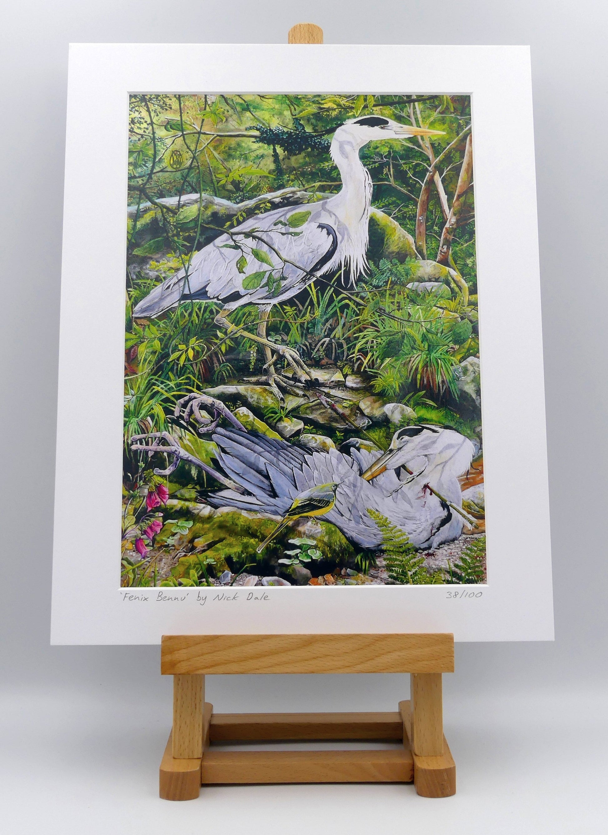 Image of a Medium Art Print featuring a copy of the painting 'Fenix Bennu' by Nick Dale. The print depicts 2 grey herons (1 living & 1 dead) & is named after the Egyptian god Bennu; which may be the origins of the phoenix legend. 'Fenix' is Anglo-Saxon for phoenix & the scene has been transposed to a river in Devon. The blood of the dead heron is smoking where it drips on the ground; suggesting that this is indeed a phoenix. The print is situated on a small easel.