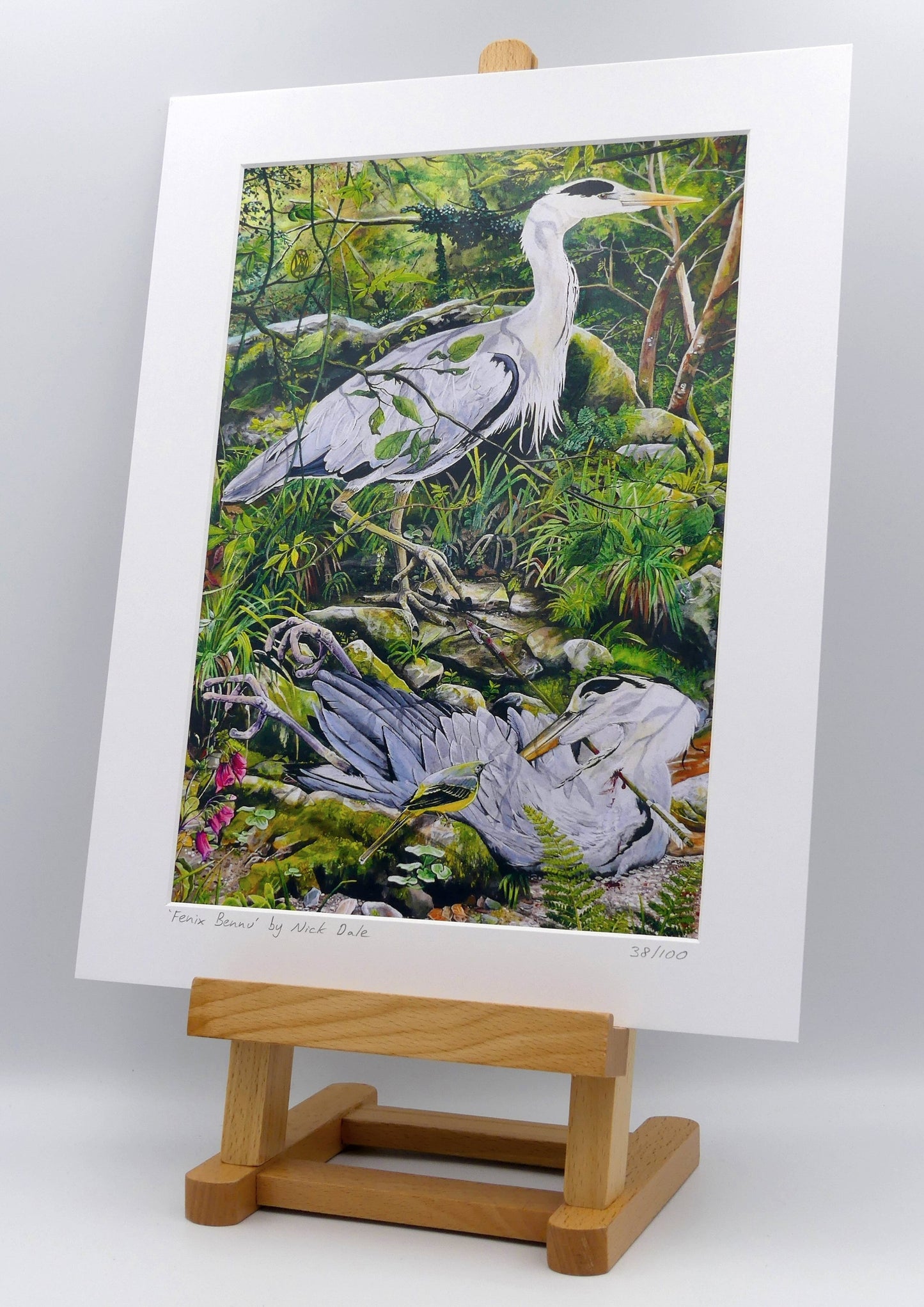 Image of a Medium Art Print featuring a copy of the painting 'Fenix Bennu' by Nick Dale. The print depicts 2 grey herons (1 living & 1 dead) & is named after the Egyptian god Bennu; which may be the origins of the phoenix legend. 'Fenix' is Anglo-Saxon for phoenix & the scene has been transposed to a river in Devon. The blood of the dead heron is smoking where it drips on the ground; suggesting that this is indeed a phoenix. The print is situated on a small easel.