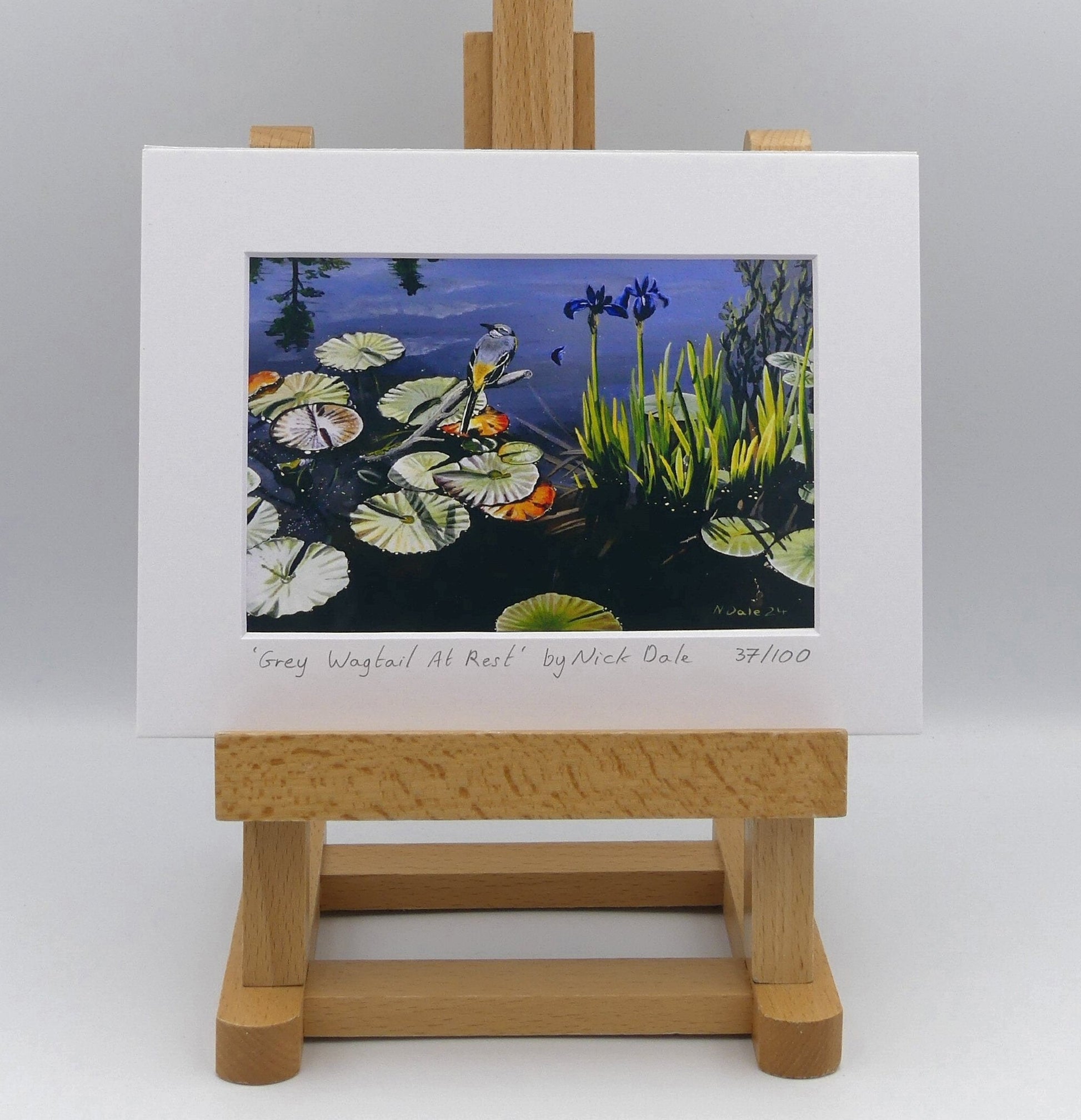 Image of Small Art Print featuring a copy of the painting 'Grey Wagtail At Rest' by Nick Dale. The print depicts a grey wagtail bird at rest, perched on top of a submerged stick above a pond. Whilst the grey wagtail was observed at Athelhampton House in Dorset the pond's vegetation is more closely based on a pond at Knightshayes Court in Devon. The print is situated on a small easel.