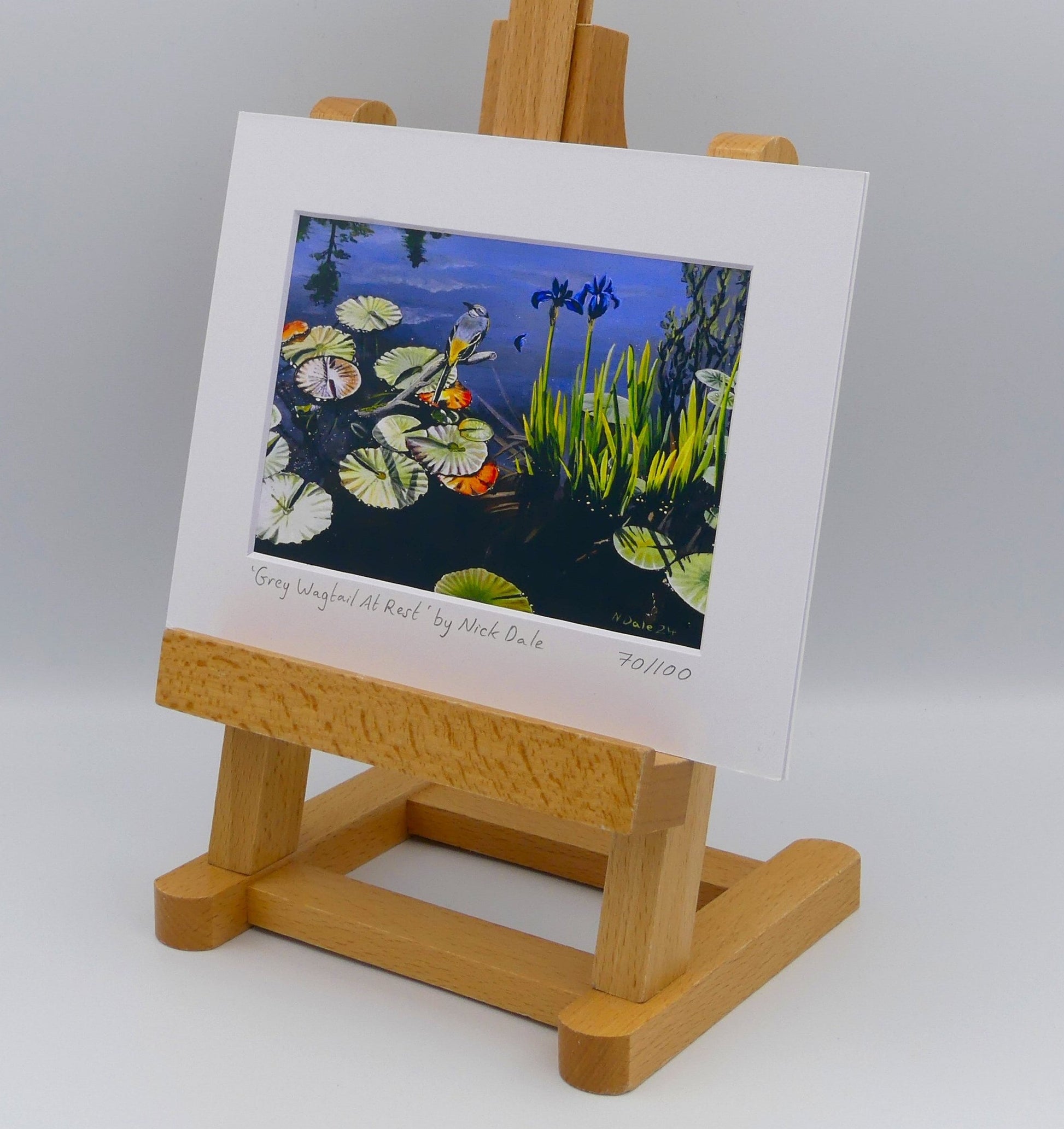 Image of Small Art Print featuring a copy of the painting 'Grey Wagtail At Rest' by Nick Dale. The print depicts a grey wagtail bird at rest, perched on top of a submerged stick above a pond. Whilst the grey wagtail was observed at Athelhampton House in Dorset the pond's vegetation is more closely based on a pond at Knightshayes Court in Devon. The print is situated on a small easel.
