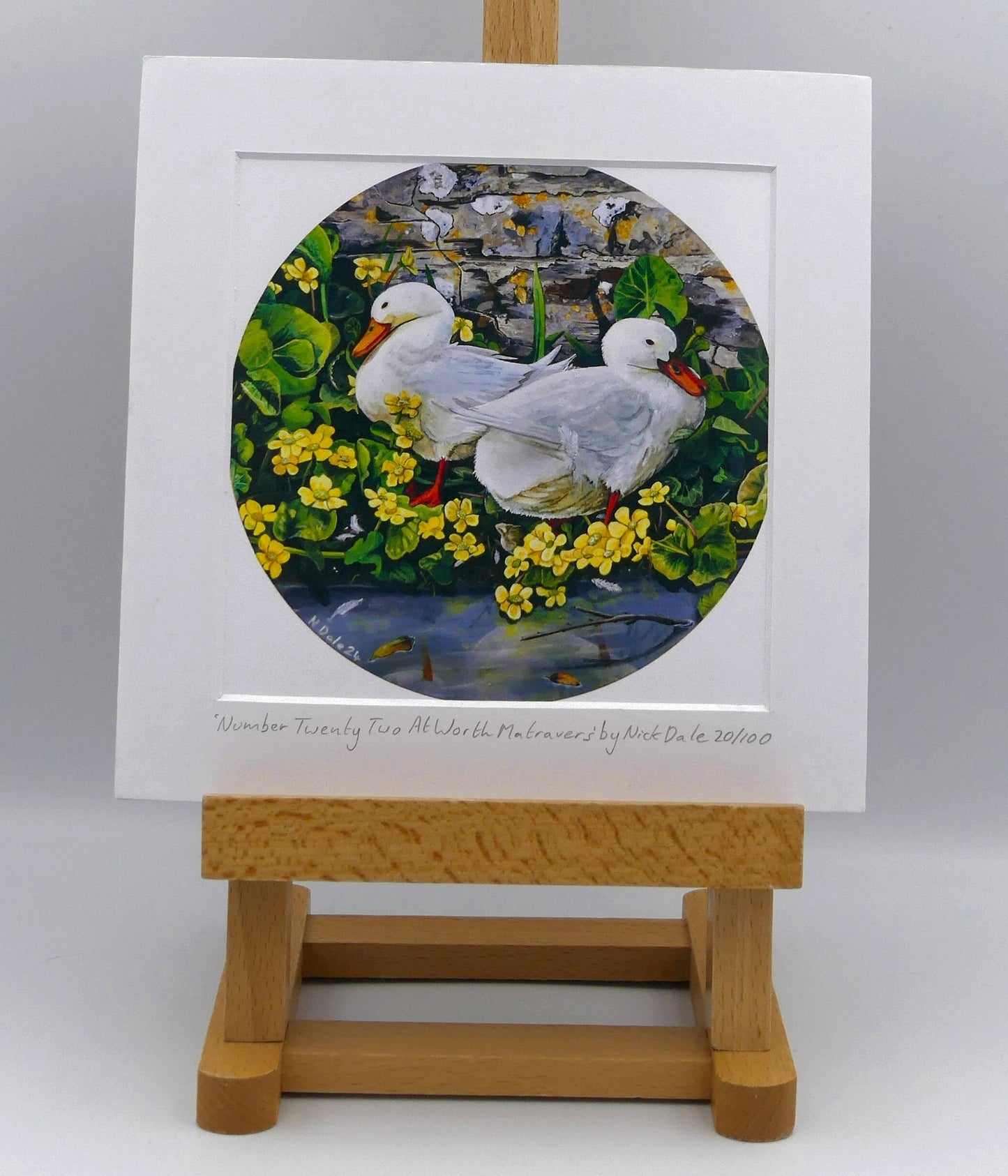 Image of Square Medium Art Print featuring a copy of the painting 'Number Twenty Two At Worth Matravers' by Nick Dale. The print depicts 2 domestic ducks on the edge of the duck pond at Worth Matravers in Dorset. 'Two Little Ducks' is often used as the call in bingo for the number 22 - hence the title of the painting. The print is situated on a small easel.