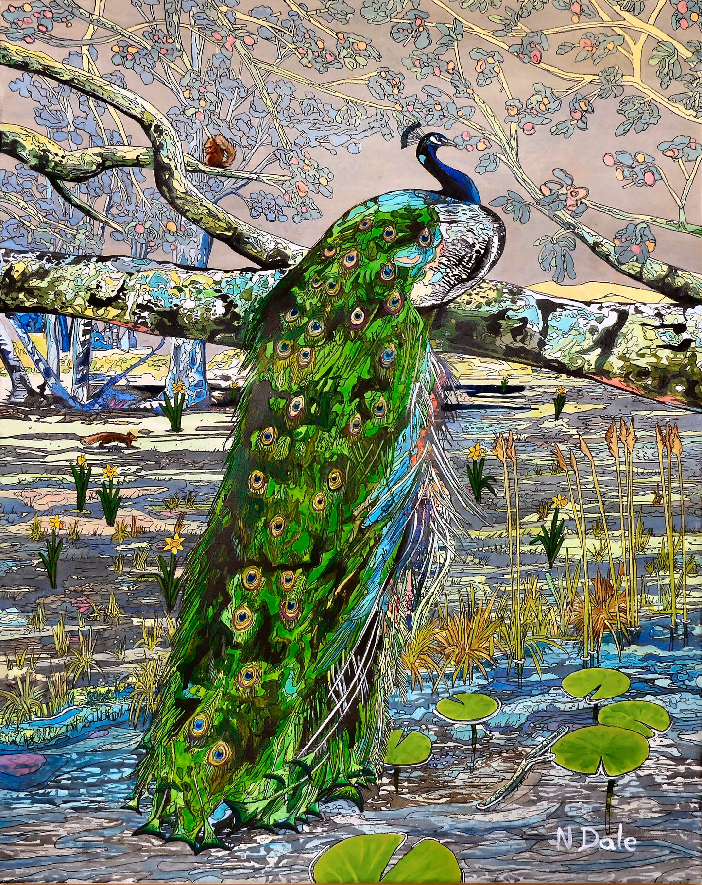 Image of the original painting 'Peacock On Brownsea Island' by Nick Dale. The painting depicts a close-up view of a peacock sitting on a tree branch on Brownsea Island in Poole Harbour, Dorset. Behind it can be seen red squirrels and also the daffodils that used to be cultivated on the island.