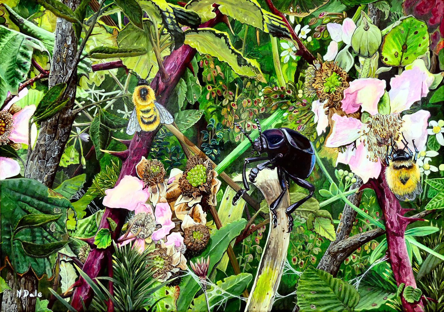Image of the original painting 'Along The Coast Path' by Nick Dale. The painting depicts a close-up view of a coast path hedgerow on the Dorset/Devon border. A bloody-nosed beetle edges its way along a plant stem whilst bees attend the bramble flowers.
