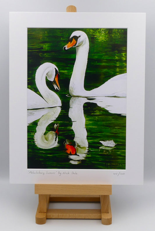 Image of a Medium Art Print featuring a copy of the painting 'Abbotsbury Swans' by Nick Dale. The print depicts two swans doing the head bobbing stage of a courtship dance at Abbotsbury Swannery in Dorset. The print is situated on a small easel.