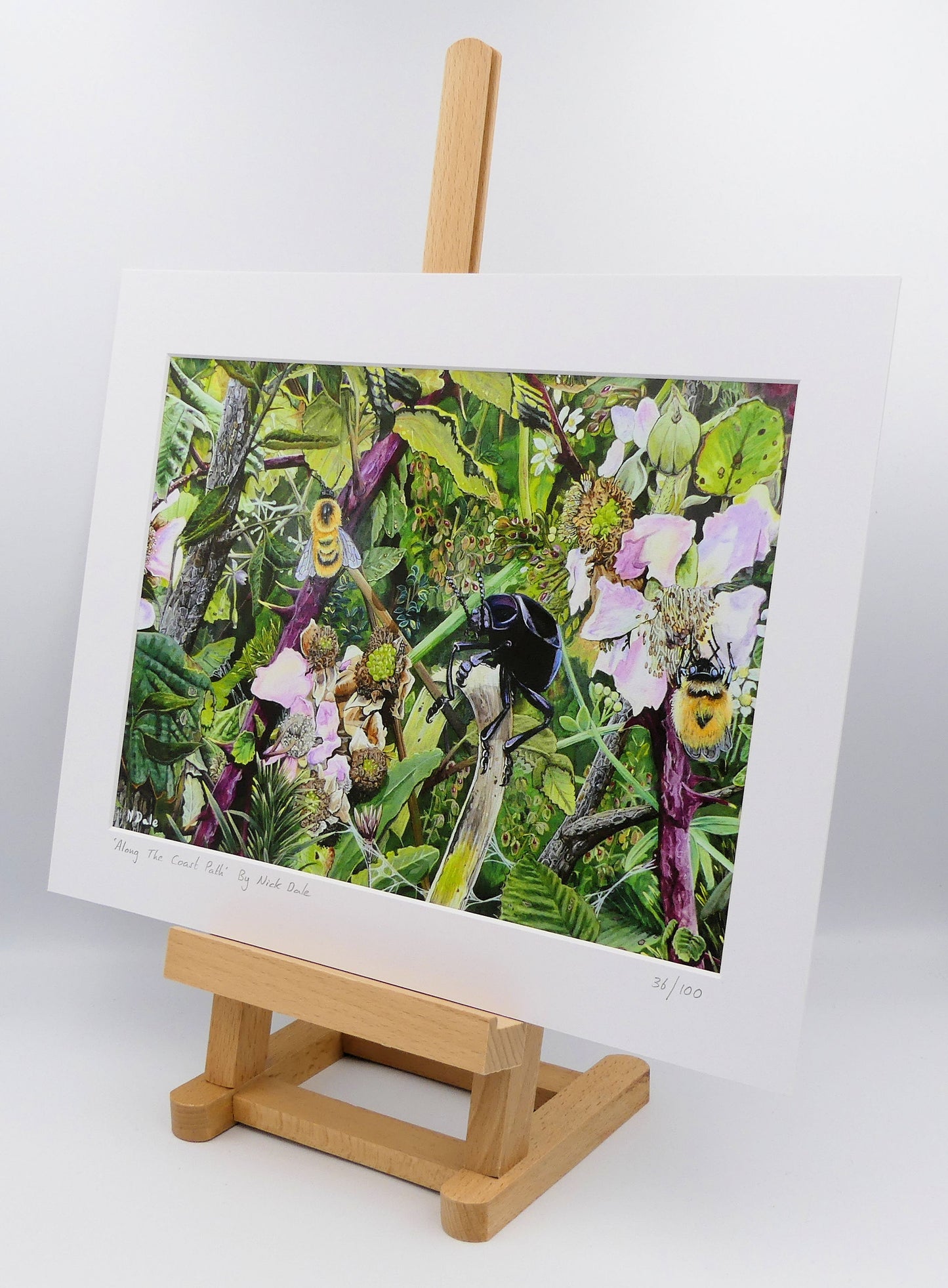 Image of a Medium Art Print featuring a copy of the painting 'Along The Coast Path' by Nick Dale. The print depicts a close-up view of a coast path hedgerow on the Dorset/Devon border. A bloody-nosed beetle edges its way along a plant stem whilst bees attend the bramble flowers. The print is situated on a small easel.