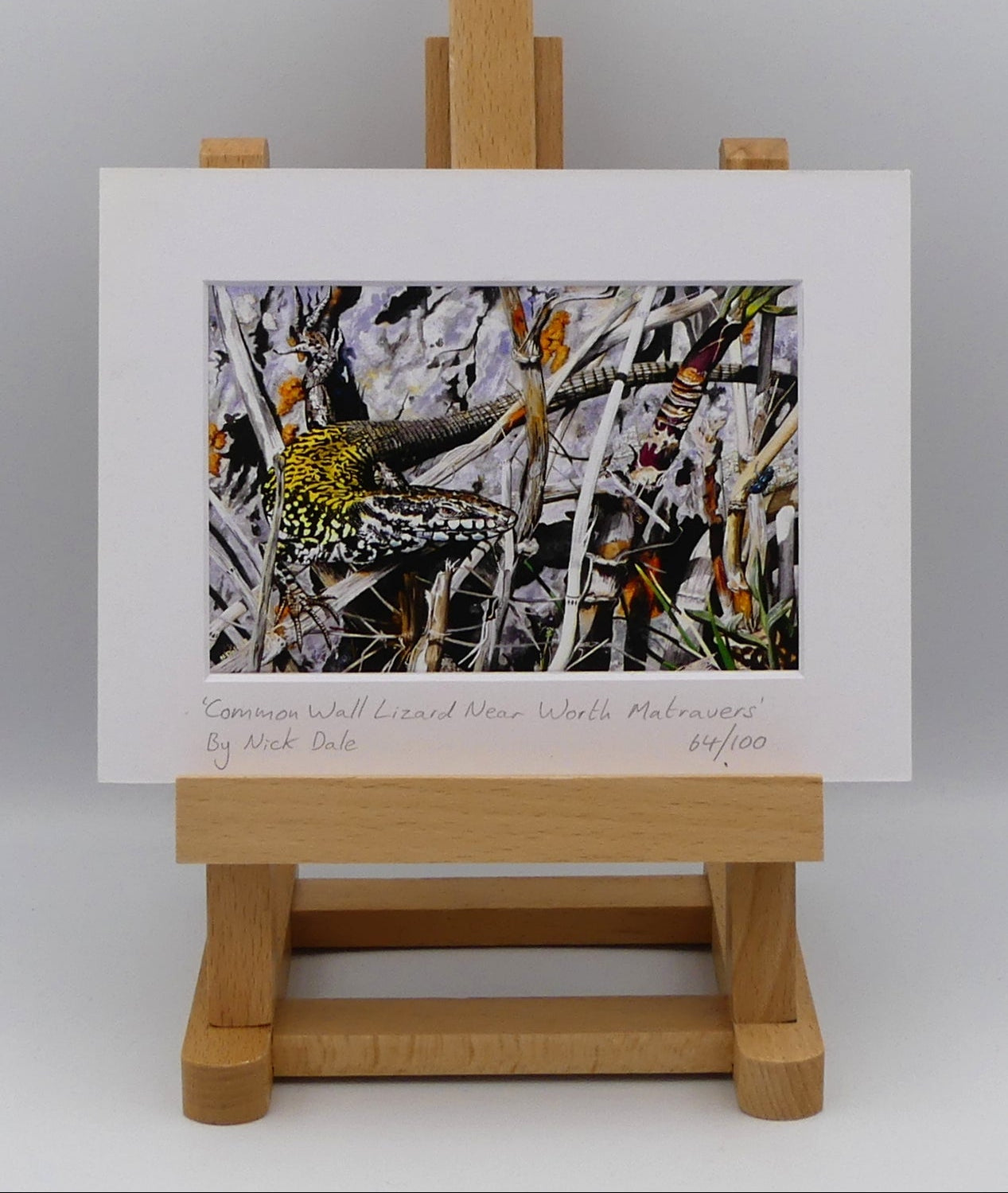 Image of a Small Art Print featuring a copy of the painting 'Common Wall Lizard Near Worth Matravers' by Nick Dale. The print depicts a close up view of a common wall lizard in the clifftop Hedbury Quarry, south of Worth Matravers. Has the lizard clocked the nearby beetle?  The print is situated on a small easel.