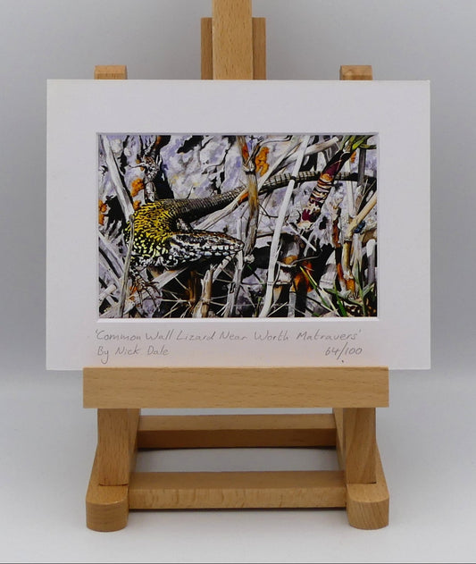 Image of a Small Art Print featuring a copy of the painting 'Common Wall Lizard Near Worth Matravers' by Nick Dale. The print depicts a close up view of a common wall lizard in the clifftop Hedbury Quarry, south of Worth Matravers. Has the lizard clocked the nearby beetle?  The print is situated on a small easel.