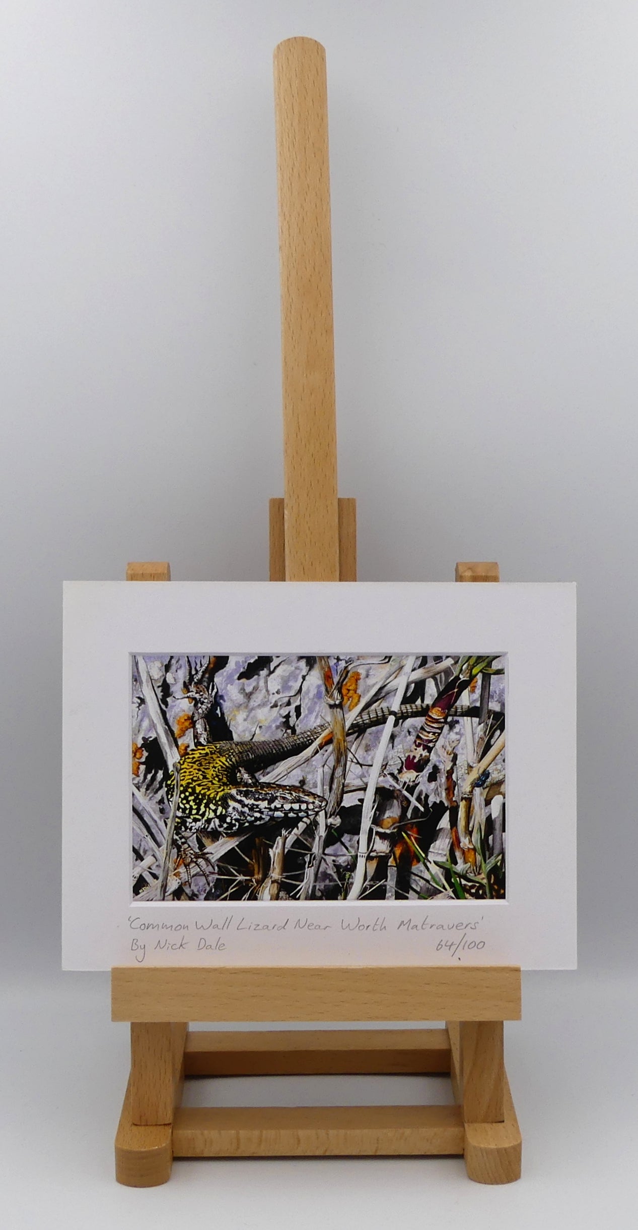 Image of a Small Art Print featuring a copy of the painting 'Common Wall Lizard Near Worth Matravers' by Nick Dale. The print depicts a close up view of a common wall lizard in the clifftop Hedbury Quarry, south of Worth Matravers. Has the lizard clocked the nearby beetle? The print is situated on a small easel.
