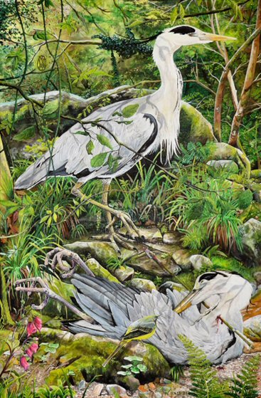 Image of a Small Art Print featuring a copy of the painting 'Fenix Bennu' by Nick Dale. The print depicts 2 grey herons (1 living & 1 dead) & is named after the Egyptian god Bennu; which may be the origins of the phoenix legend. 'Fenix' is Anglo-Saxon for phoenix & the scene has been transposed to a river in Devon. The blood of the dead heron is smoking where it drips on the ground; suggesting that this is indeed a phoenix. 