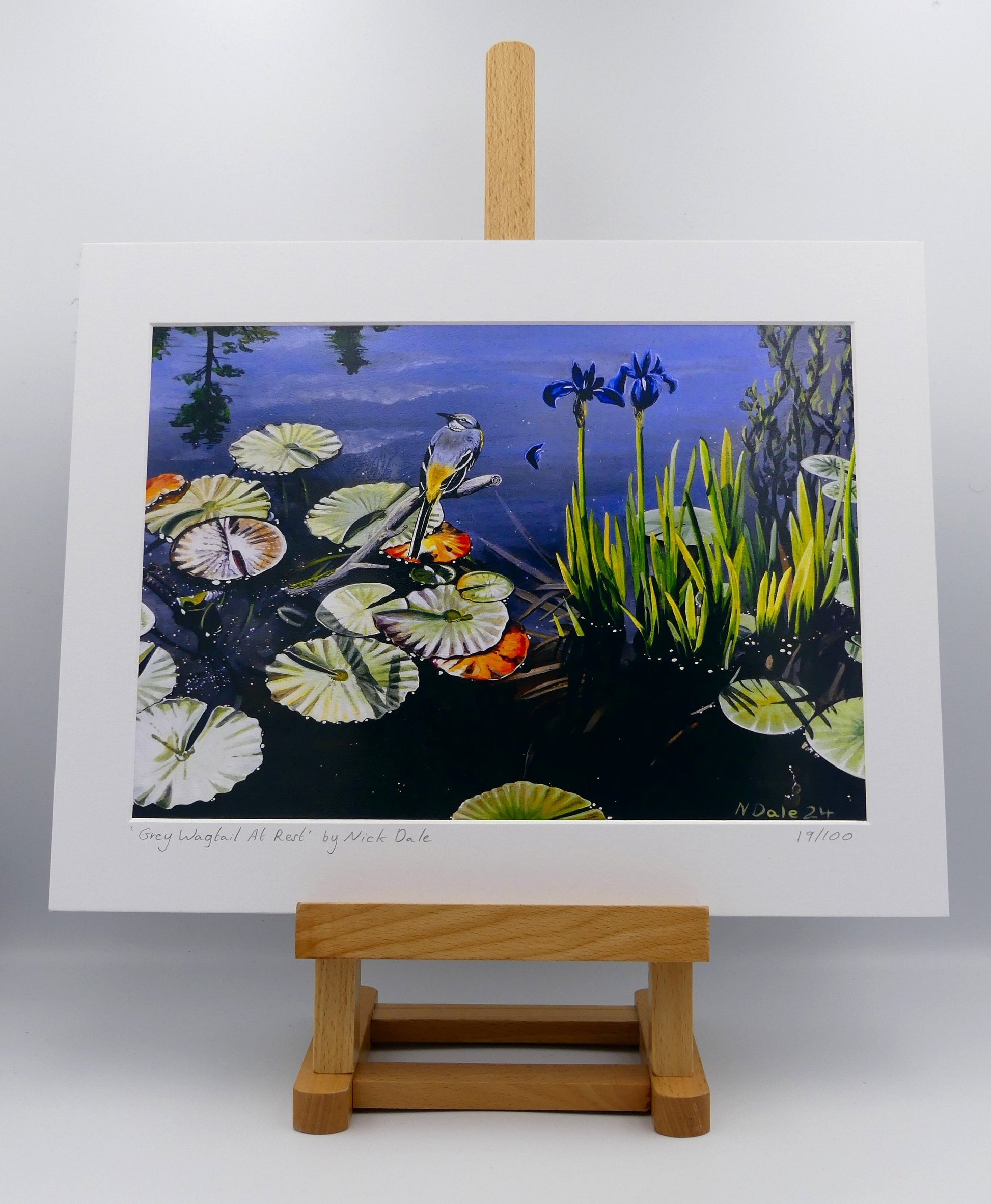 Image of Medium Art Print featuring a copy of the painting 'Grey Wagtail At Rest' by Nick Dale. The print depicts a grey wagtail bird at rest, perched on top of a submerged stick above a pond. Whilst the grey wagtail was observed at Athelhampton House in Dorset the pond's vegetation is more closely based on a pond at Knightshayes Court in Devon. The print is situated on a small easel.
