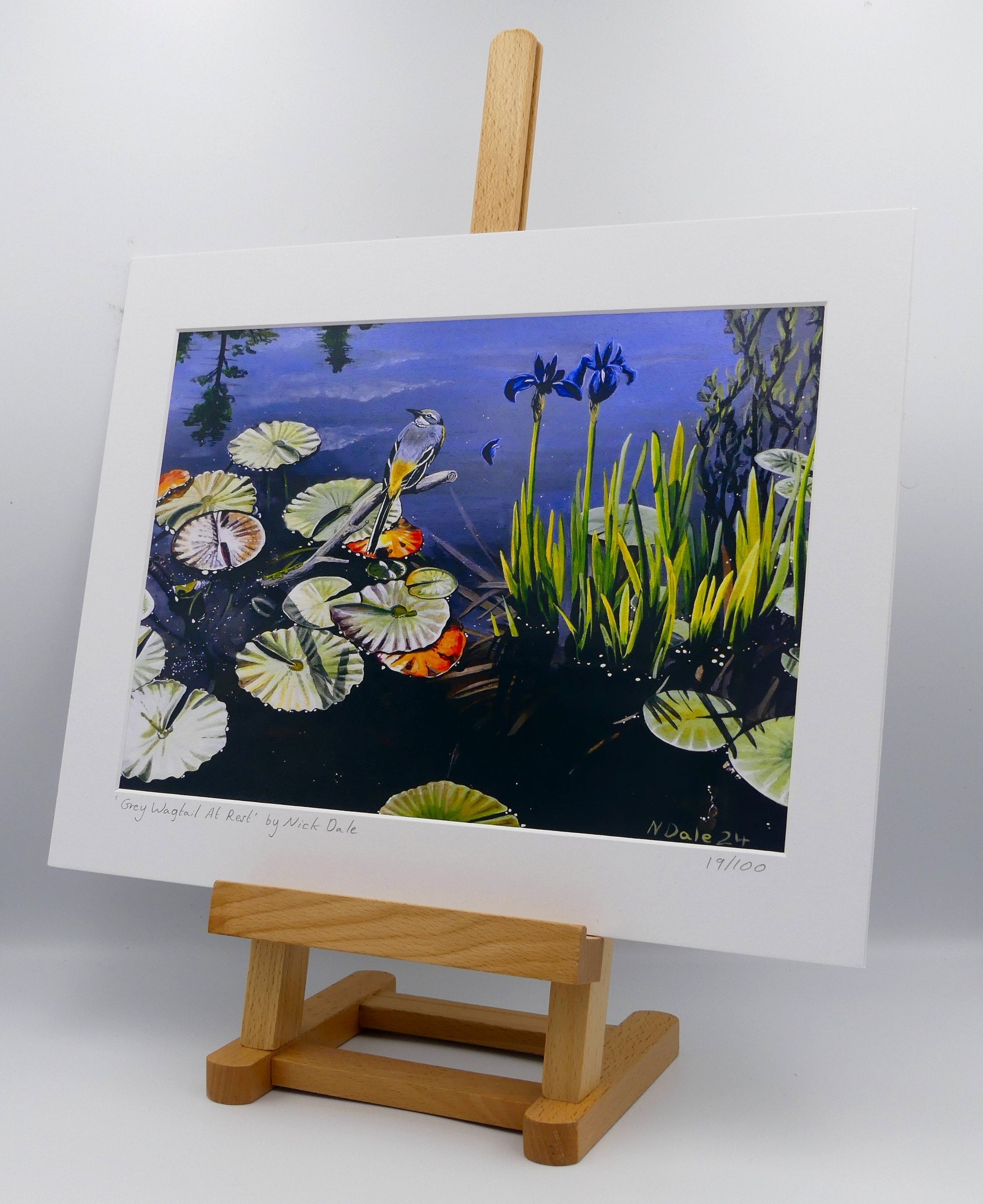 Image of Medium Art Print featuring a copy of the painting 'Grey Wagtail At Rest' by Nick Dale. The print depicts a grey wagtail bird at rest, perched on top of a submerged stick above a pond. Whilst the grey wagtail was observed at Athelhampton House in Dorset the pond's vegetation is more closely based on a pond at Knightshayes Court in Devon. The print is situated on a small easel.