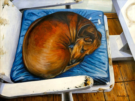 Image of the original painting 'Do Not Disturb' by Nick Dale. The painting depicts a miniature dachshund dog curled up on a favourite seat. Its gaze clearly indicates that it is not keen on being evicted from its current location and slumbering state.