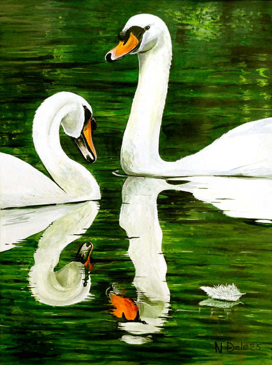 Image of the original painting 'Abbotsbury Swans' by Nick Dale. The scene depicts two swans doing the head bobbing stage of a courtship dance at Abbotsbury Swannery in Dorset.