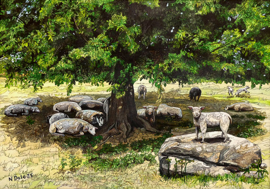 Image of the original painting 'In The Sunshine' by Nick Dale. The painting depicts a flock of sheep relaxing in the shade of a large tree on a warm day whilst the lambs continue to frolic in the sun. 