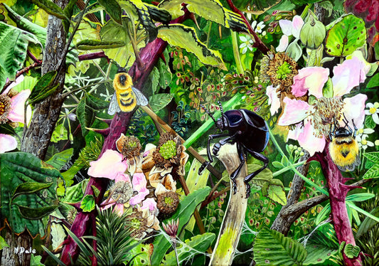 Image of the original painting 'Along The Coast Path' by Nick Dale. The painting depicts a close-up view of a coast path hedgerow on the Dorset/Devon border. A bloody-nosed beetle edges its way along a plant stem whilst bees attend the bramble flowers.