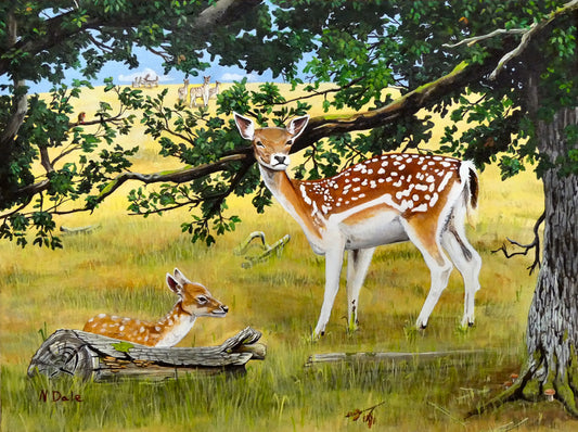 Image of the original painting 'Fallow Deer' by Nick Dale. The painting depicts a close up view of a fallow deer doe and its fawn resting under an oak tree. The scene is based on deer observed at the deer park at the Stock Gaylard estate.