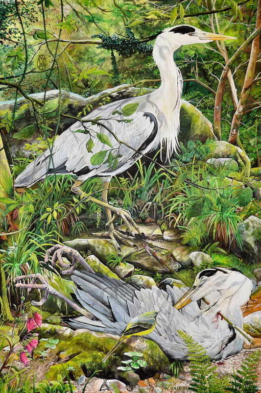 Image of the original painting 'Fenix Bennu' by Nick Dale. The painting depicts 2 grey herons (1 living & 1 dead) & is named after the ancient Egyptian god Bennu, which was depicted as a heron. The god Bennu may be the origins of the phoenix legend. 'Fenix' is Anglo-Saxon for phoenix & the scene has been transposed to the East Lyn River in Devon. The blood of the dead heron is smoking where it drips on the ground; suggesting that this is indeed a phoenix.