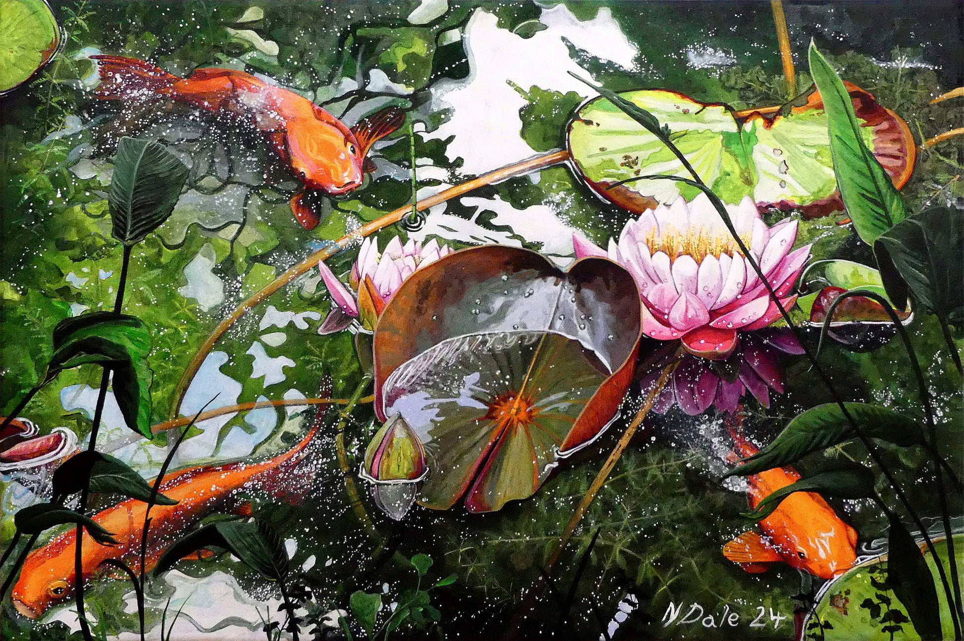 Image of the original painting 'Don't Be Coy' by Nick Dale. The painting depicts 3 koi carp along with water lilies and their flowers. The painting is based on fish and lilies observed at Bennetts Water Gardens in Weymouth, Dorset. The title is a play on the homophones 'Coy' and 'Koi'.