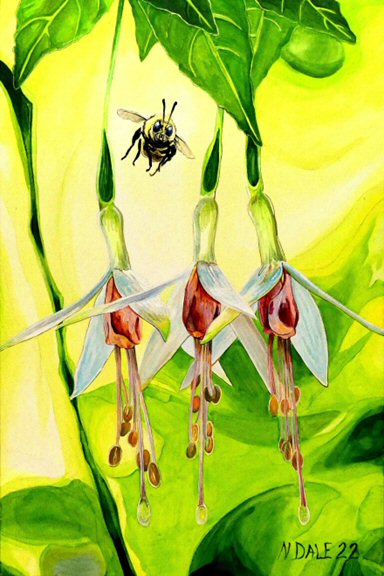 Image of a Small Art Print featuring a copy of the painting 'The Three Muses' by Nick Dale. The print depicts a close-up view of a bee approaching its prize. But which will it choose?