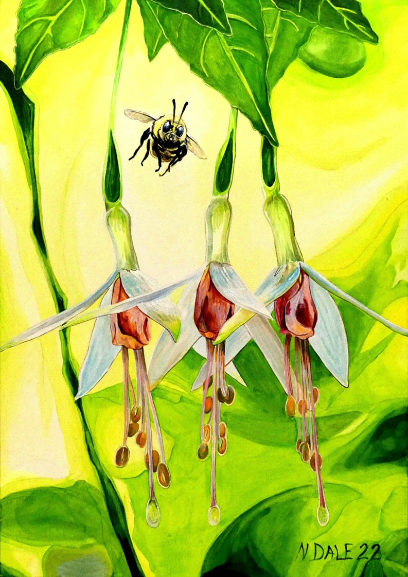 Image of a Medium Art Print featuring a copy of the painting 'The Three Muses' by Nick Dale. The print depicts a close-up view of a bee approaching its prize. But which will it choose?