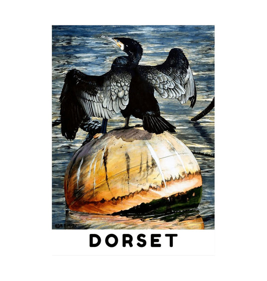 Image of a Large Art Print (A3 size) featuring a copy of the painting 'Cormorant At West Bay' by Nick Dale, with the word 'Dorset' written beneath it. The print depicts a close-up of a cormorant sunbathing on a Mooring Buoy in West Bay's harbour in Dorset.
